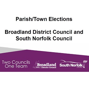 Parish and Town Elections thumbnail